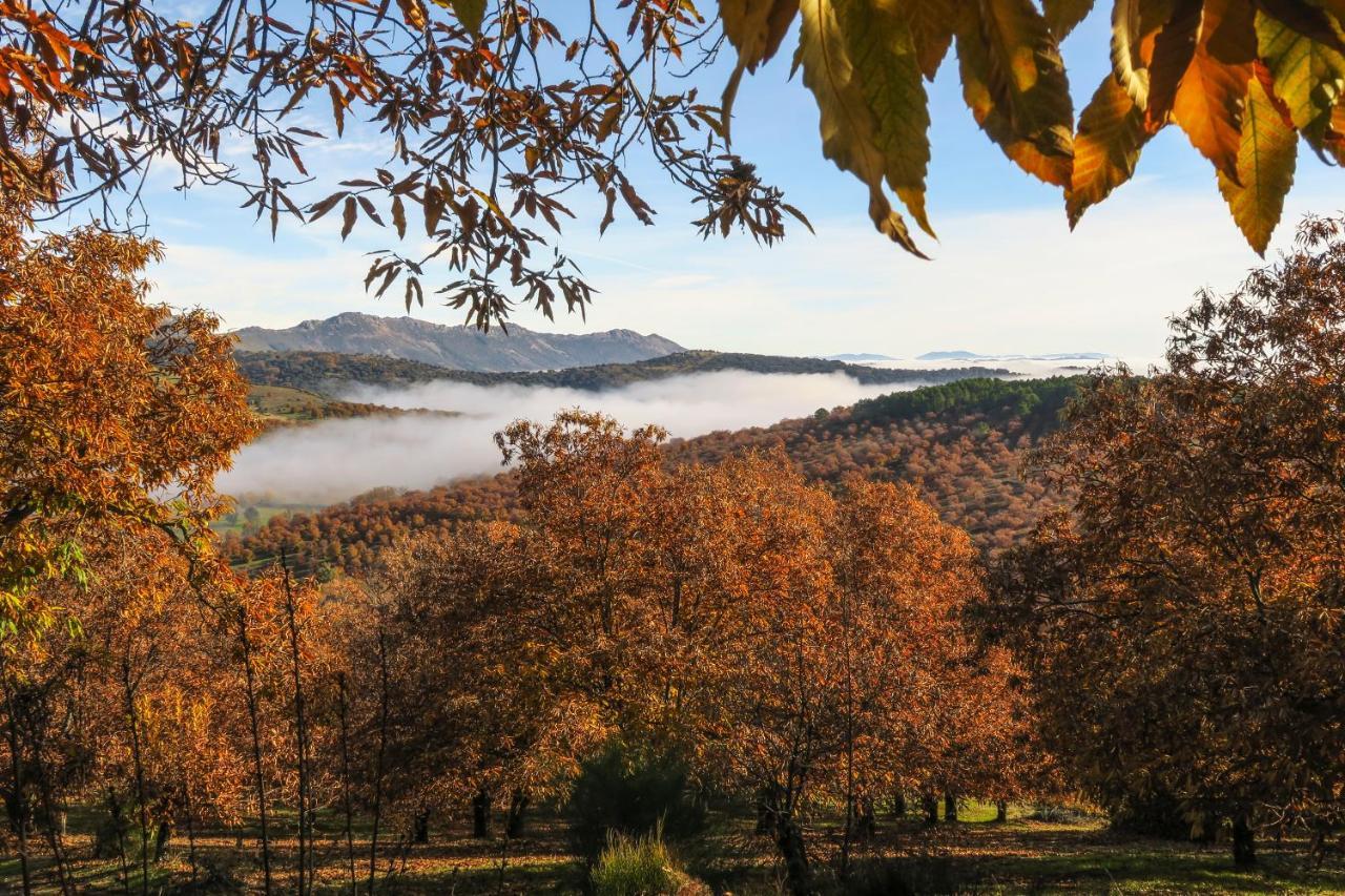 Appartement Mirador De Villuercas Guadalupe (Extremadura)