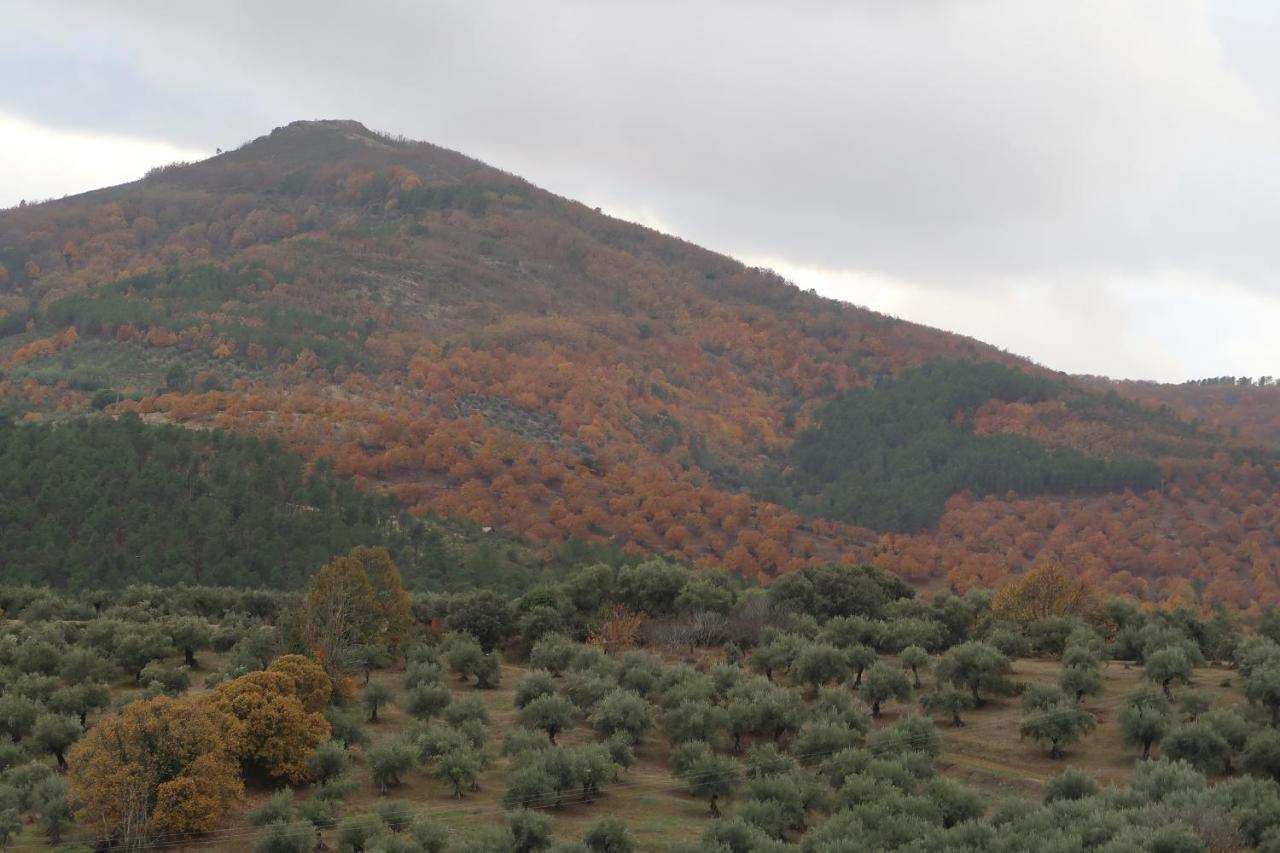 Appartement Mirador De Villuercas